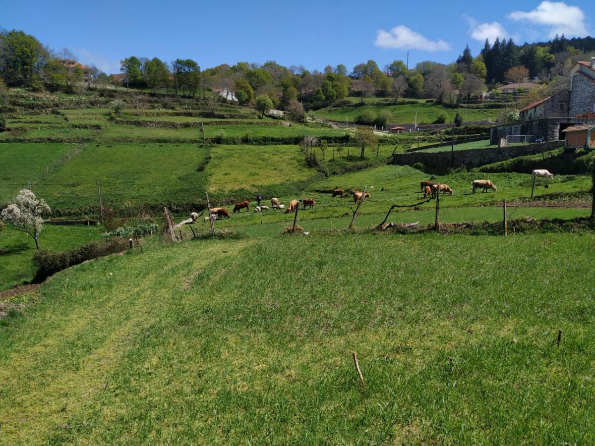 Holiday home Pe Na Aldeia