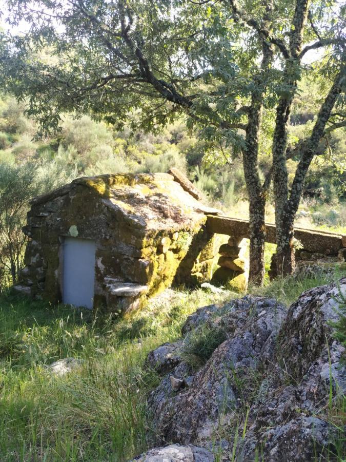 Holiday home Pe Na Aldeia